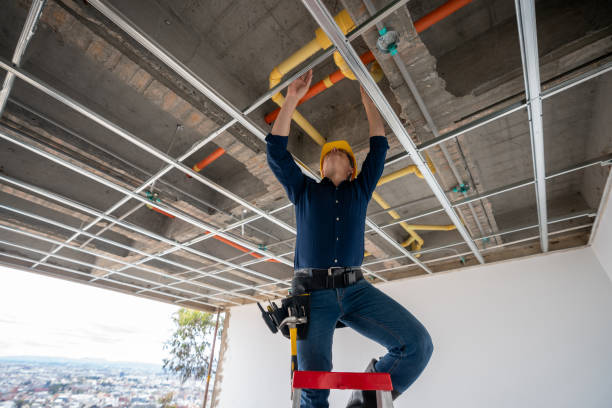 Best Local Plumber Services  in Lake Odessa, MI