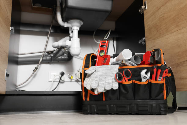 Best Plumbing Services Near Me  in Lake Odessa, MI