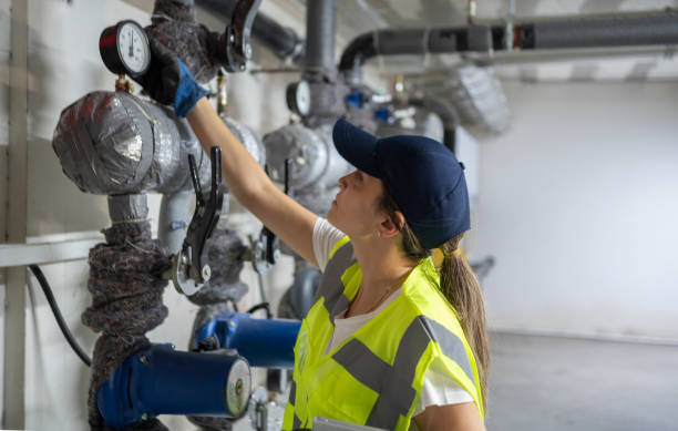 Best Emergency Plumber  in Lake Odessa, MI