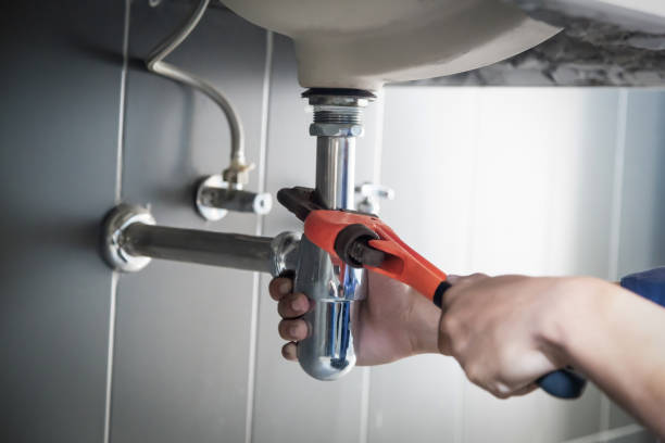 Best Residential Plumbing Services  in Lake Odessa, MI