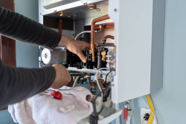 Best Same-Day Plumbing Service  in Lake Odessa, MI